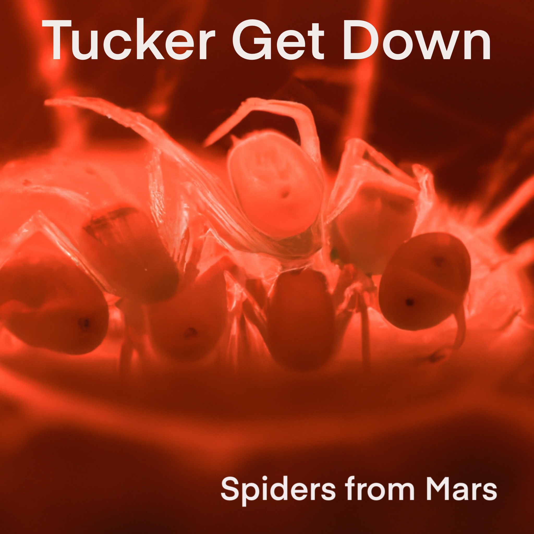 Tucker Get Down Album