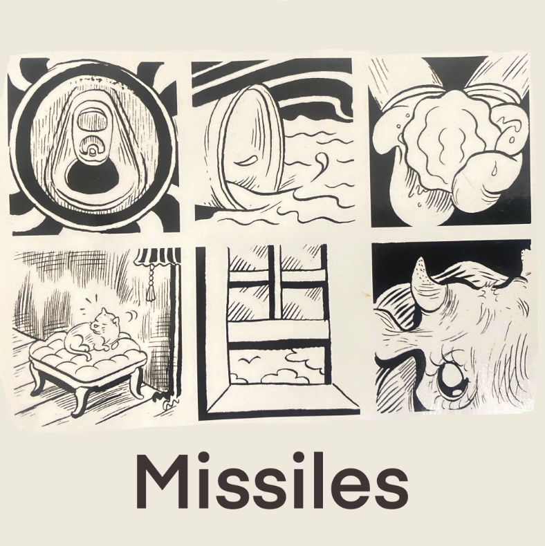 Missiles Book Cover